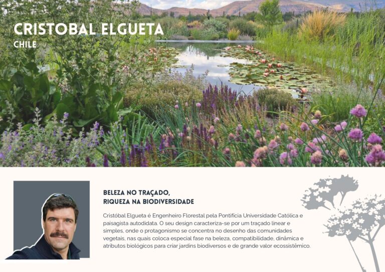 PDF-EVENTO-UNBAUGM-PORT_20260121_092522_0000_compressed_page-0002