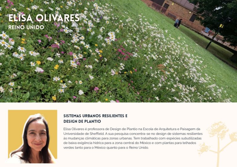 PDF-EVENTO-UNBAUGM-PORT_20260121_092522_0000_compressed_page-0003